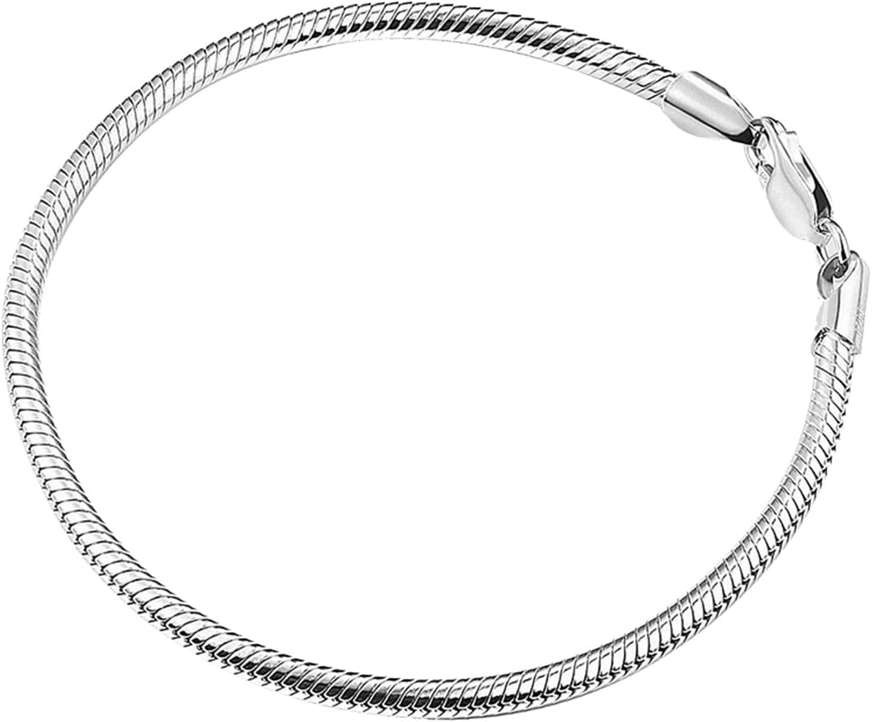 Round Snake Chain Bracelet